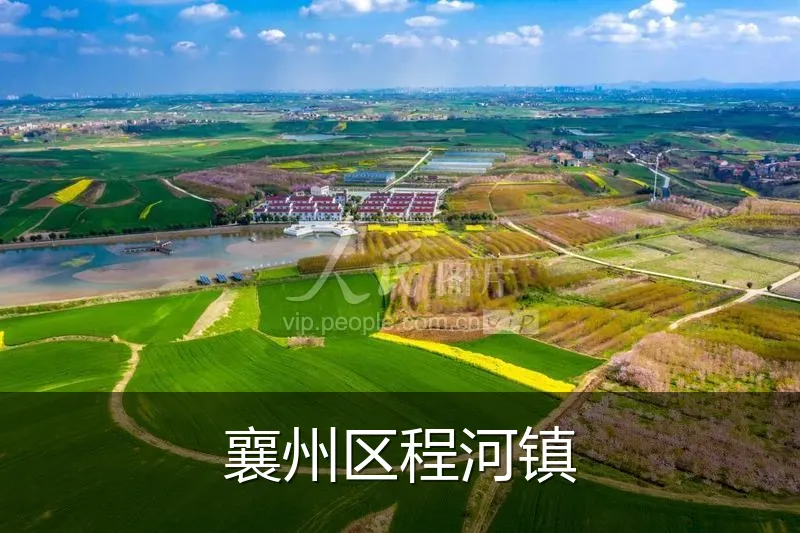 襄州区程河镇