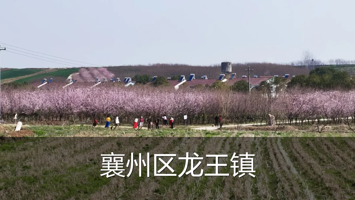 襄州区龙王镇